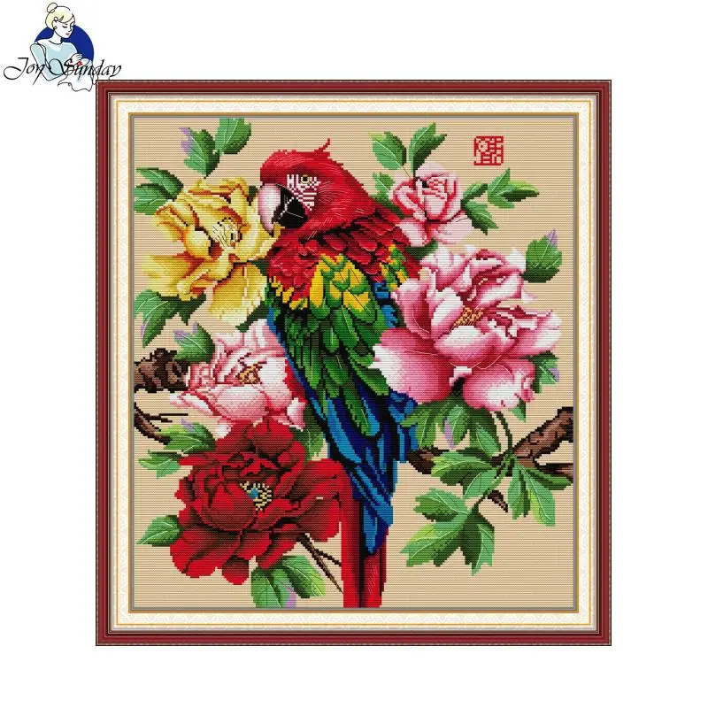 Joy Sunday นกแก้วที่สวยงามรูปแ - Embroidery Meaning บทวิจารณ์และราคา